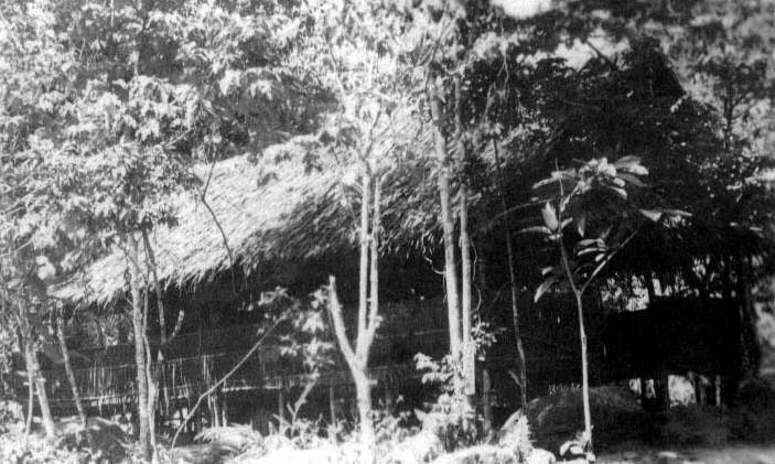 Typical New Guinea native hut