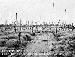 Devastated plantation at Buna battlefield
