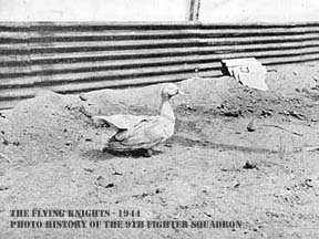 Beloved 9FS mascot, Huckleberry Duck